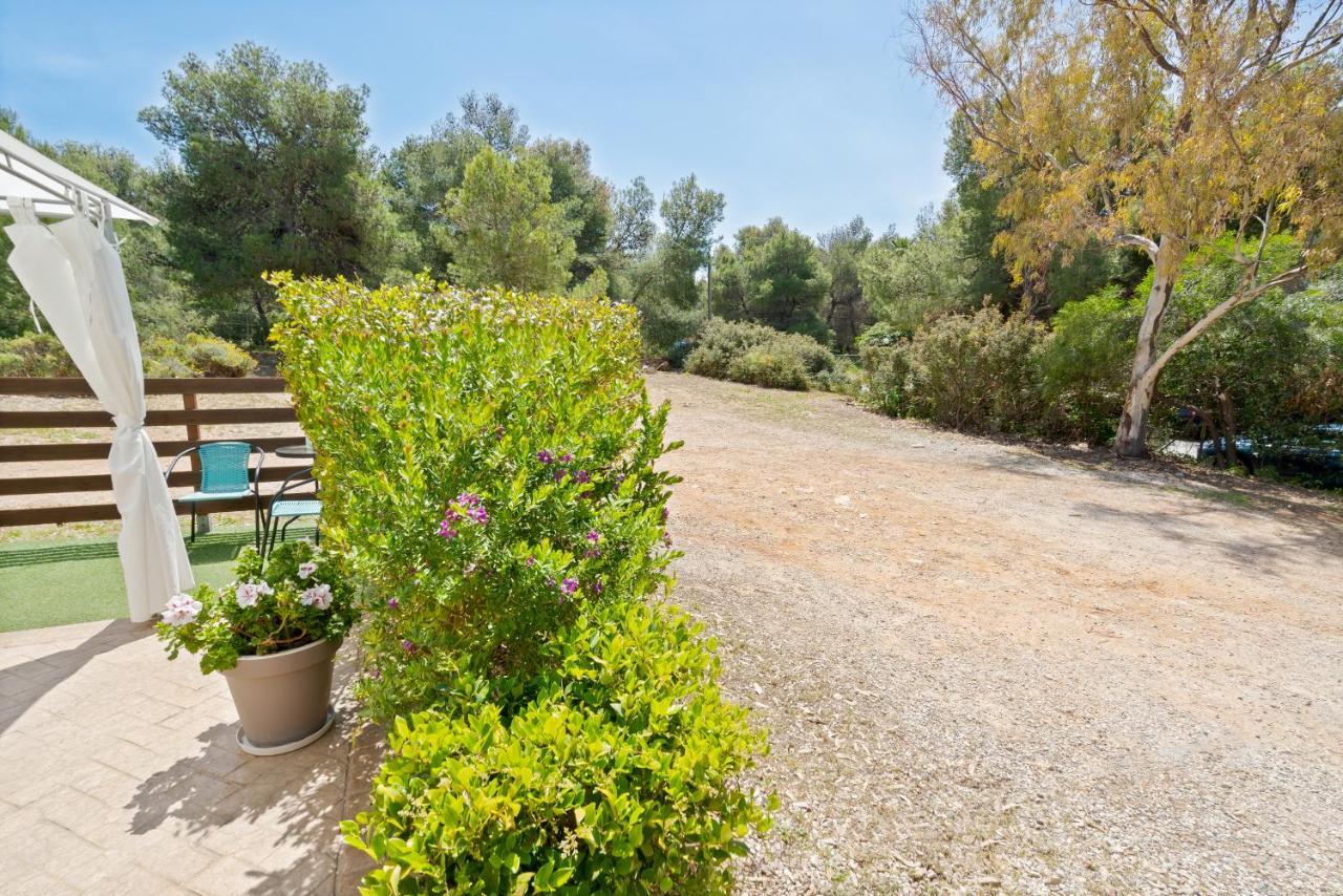 Chania Elite Homes Ii-Apartment Near Venizelos Tombs Monument Exteriör bild